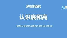 认识底和高视频,从底与高视角解析视觉元素