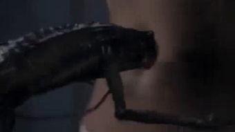 入腹视频,揭秘人体内部神秘世界